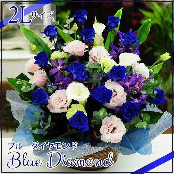 �t�����[�A�����W�����g �u���[�_�C�������h2L �T�C�Y