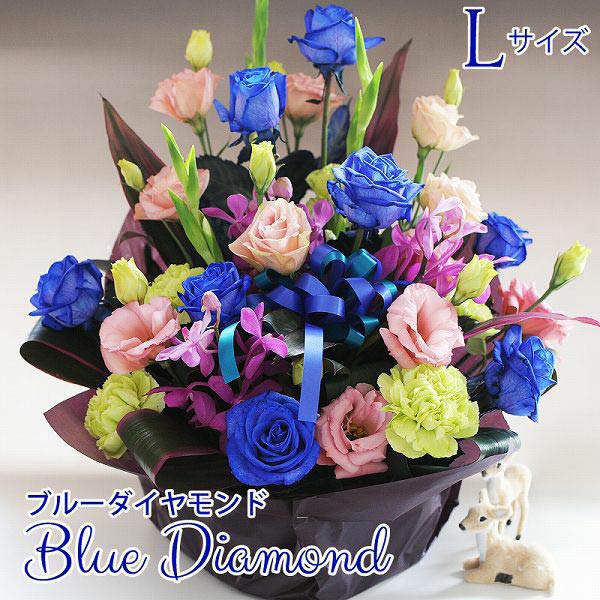 �t�����[�A�����W�����g �u���[�_�C�������hL �T�C�Y