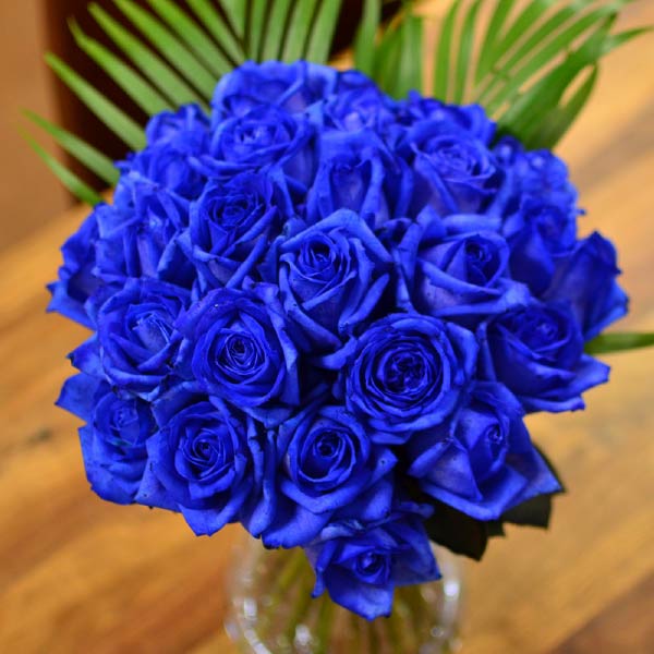 ���o�� �{���w��̉ԑ�