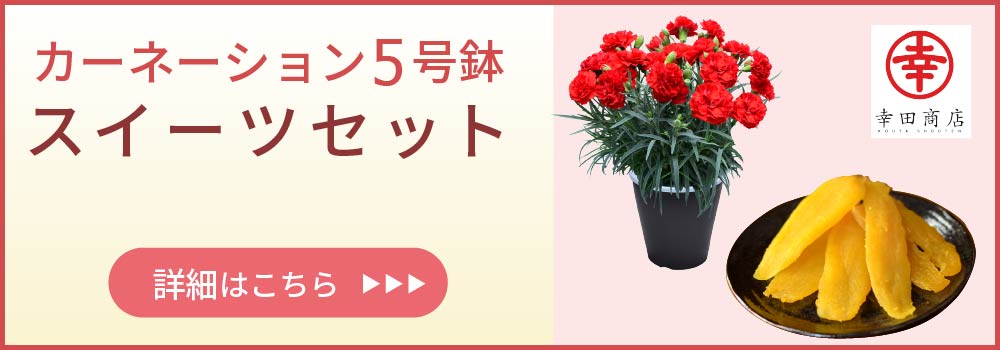 カーネーションスイーツセット