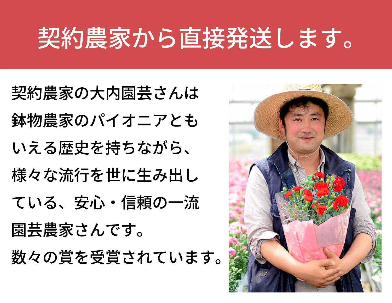 ���Y�҂��璼�ڔ���