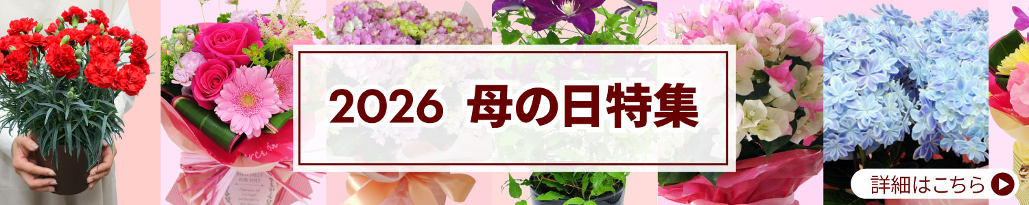 2026��̓����W