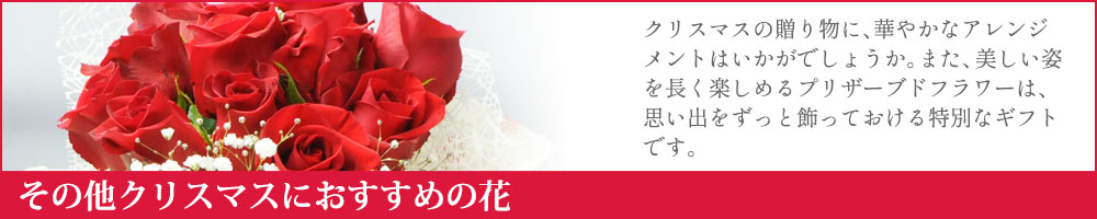 ���̑��N���X�}�X�ɂ������߂̉�