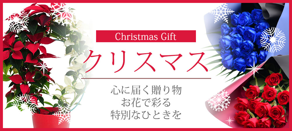 クリスマス