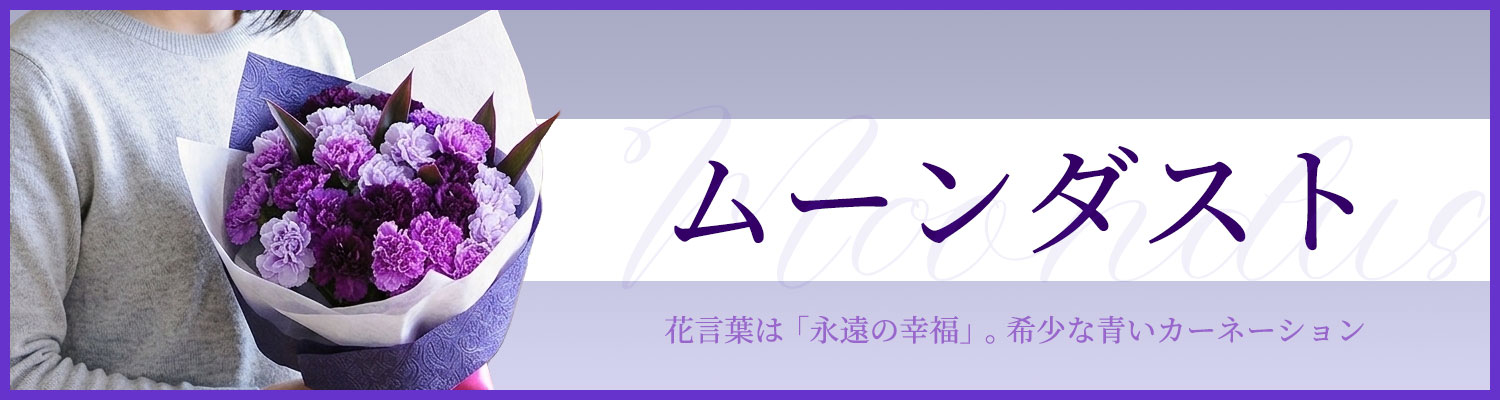 ���[���_�X�g