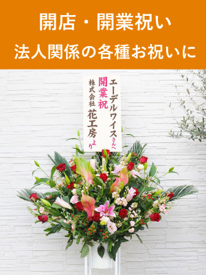 開店開業祝い