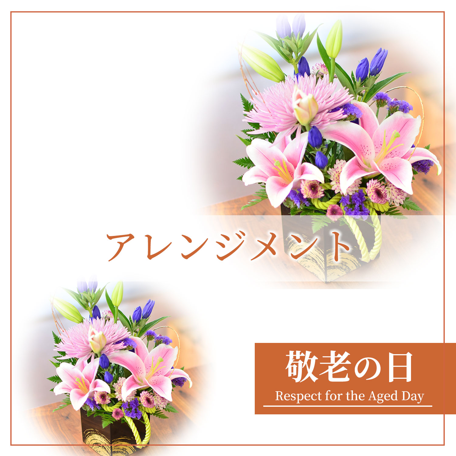 �h�V�̓��A�����W�����g