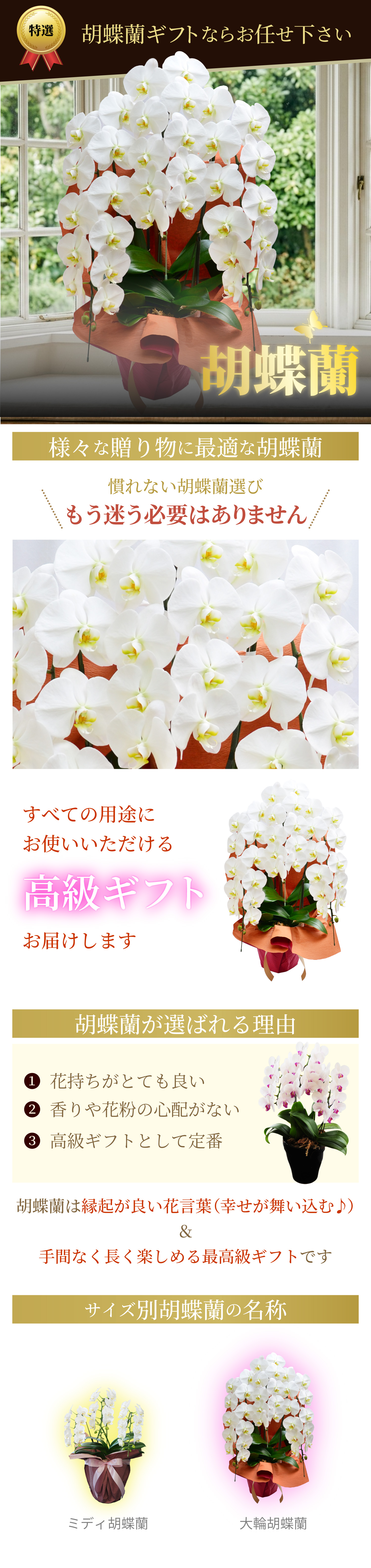 �Ӓ���