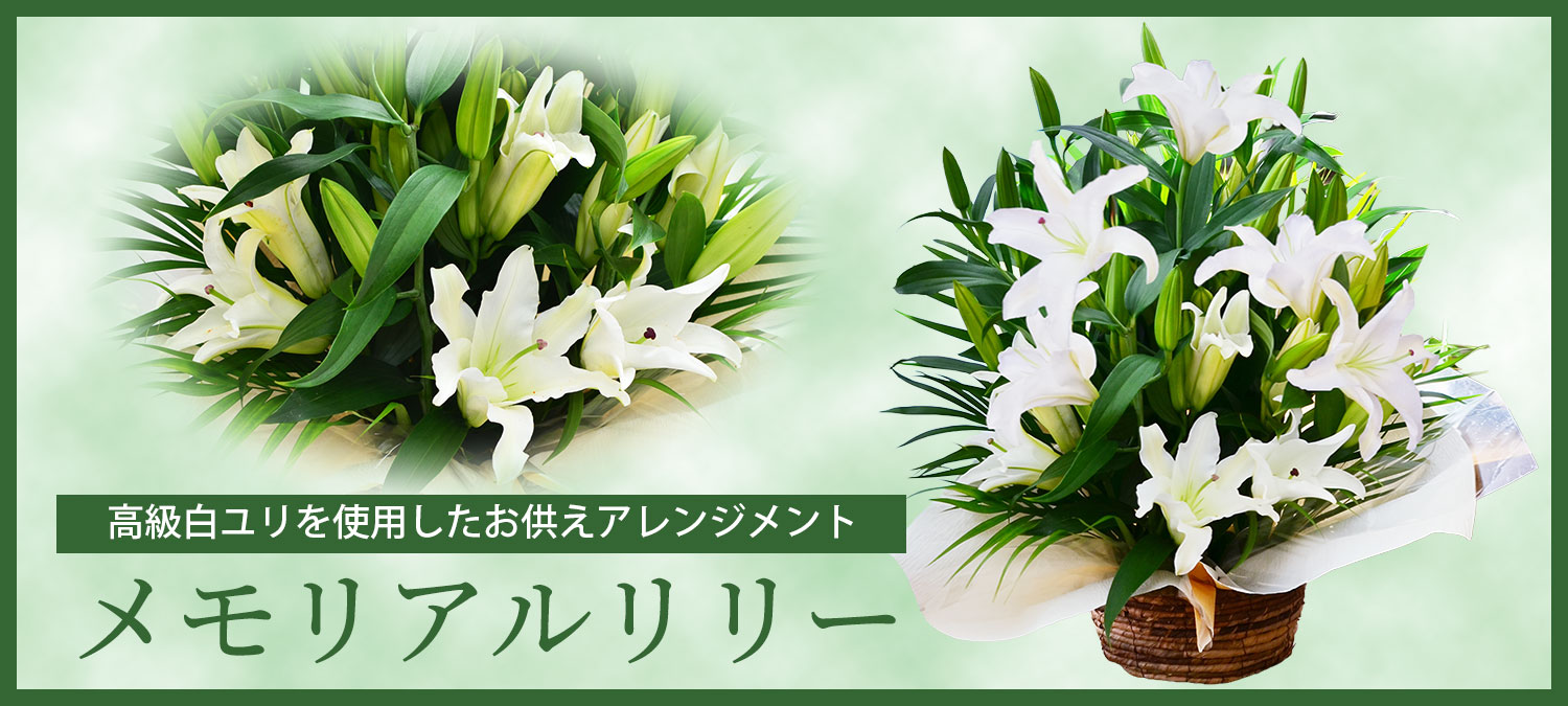 メモリアルリリー