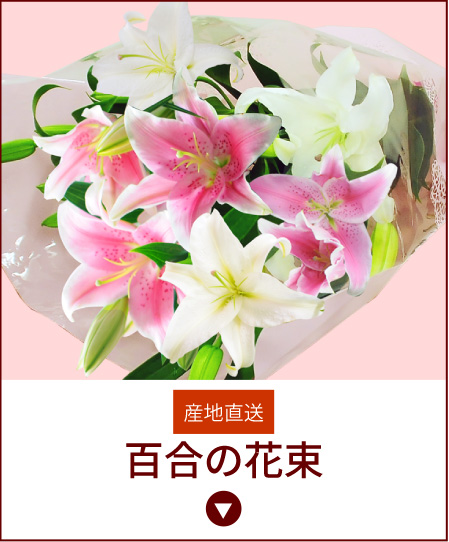 �Y�n�����S���̉ԑ�