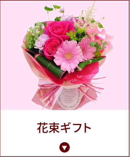 ��̓��@�ԑ��M�t�g