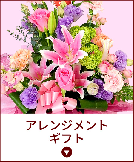 ��̓��@�A�����W�����g�M�t�g