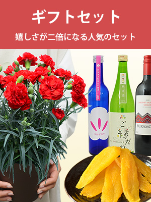 �ԂƃM�t�g�Z�b�g