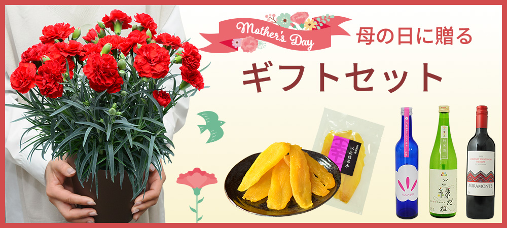 �M�t�g�Z�b�g