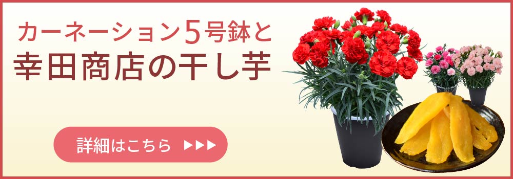 �J�[�l�[�V�����ƍK�c���X�̊������̃Z�b�g