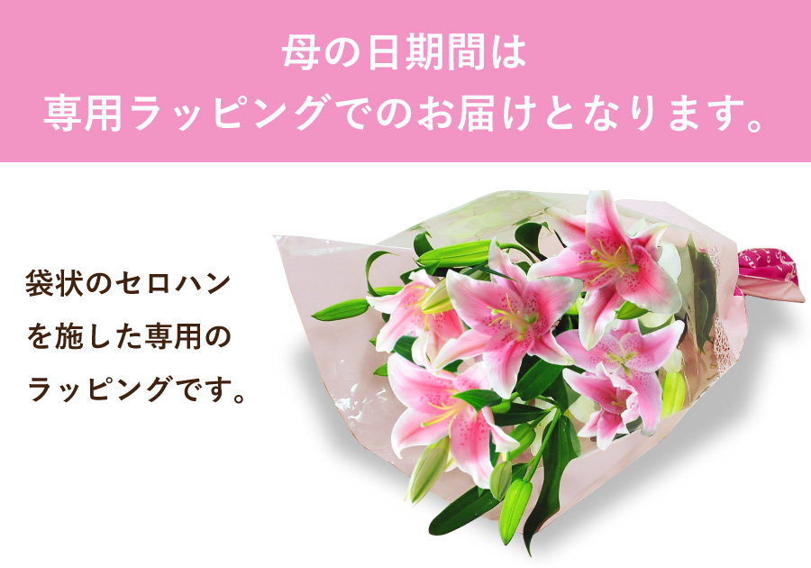 ̓pbsOC[W