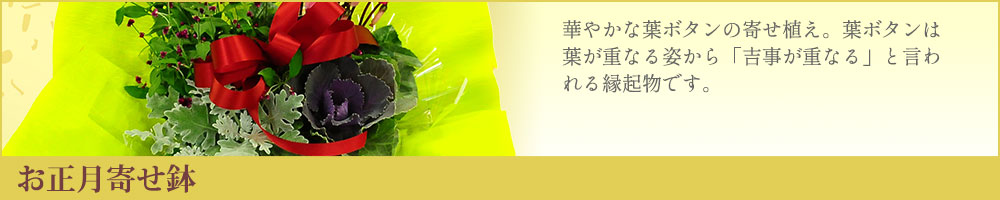 �������񂹔�