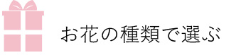 Ԃ̎ނőI