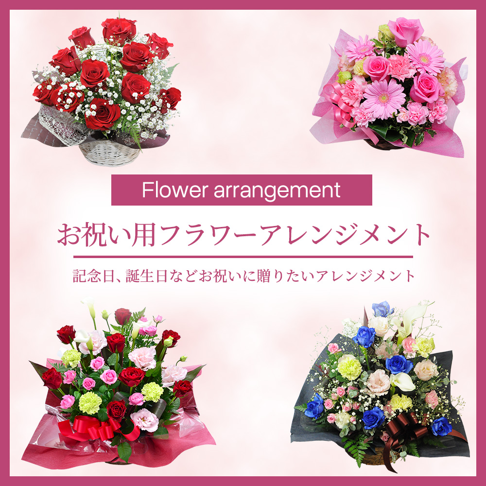 ���j���t�����[�A�����W�����g