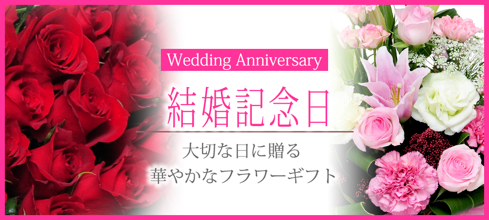 �L�O���J�e�S���[�g�b�v�摜