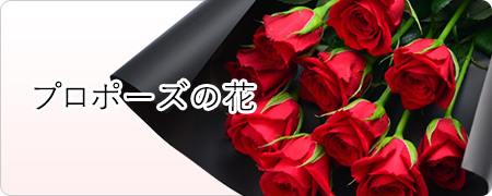 v|[Ỷ