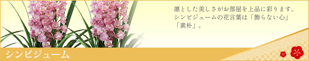 �V���r�W���[��