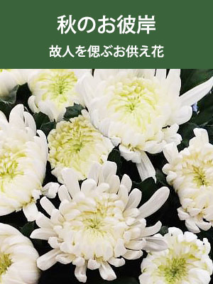 ފ