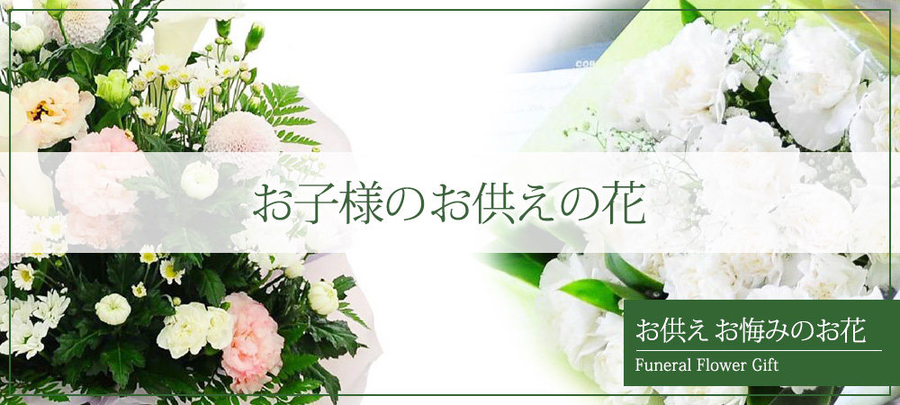 qlɑ邨̉