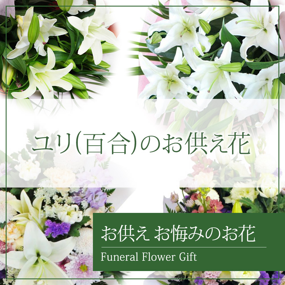 �S���̂�������