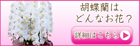 �u�Ӓ����v�̖��O�̗R���A�Ӓ����̑����