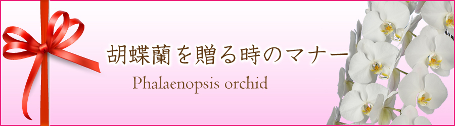 �u�Ӓ����v�̖��O�̗R���A�Ӓ����̑����