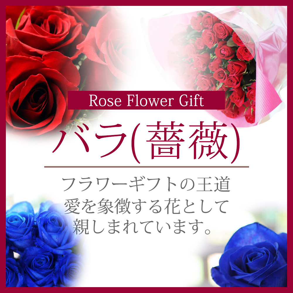 バラ(薔薇)の花(赤いバラ・青いバラ ブルーローズ) | エーデルワイス