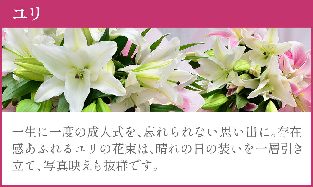 �����̂������߂̉�