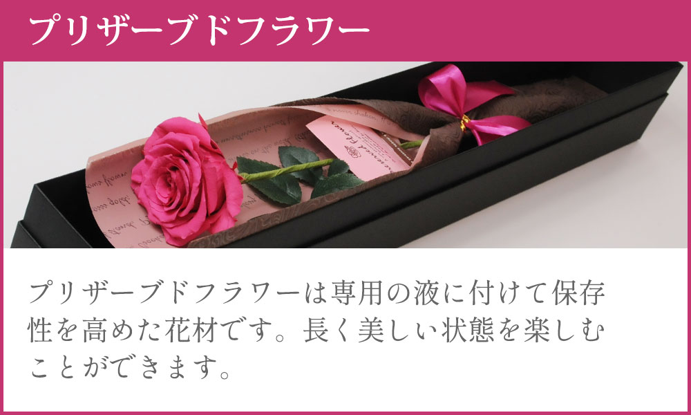 �v���U�[�u�h�t�����[