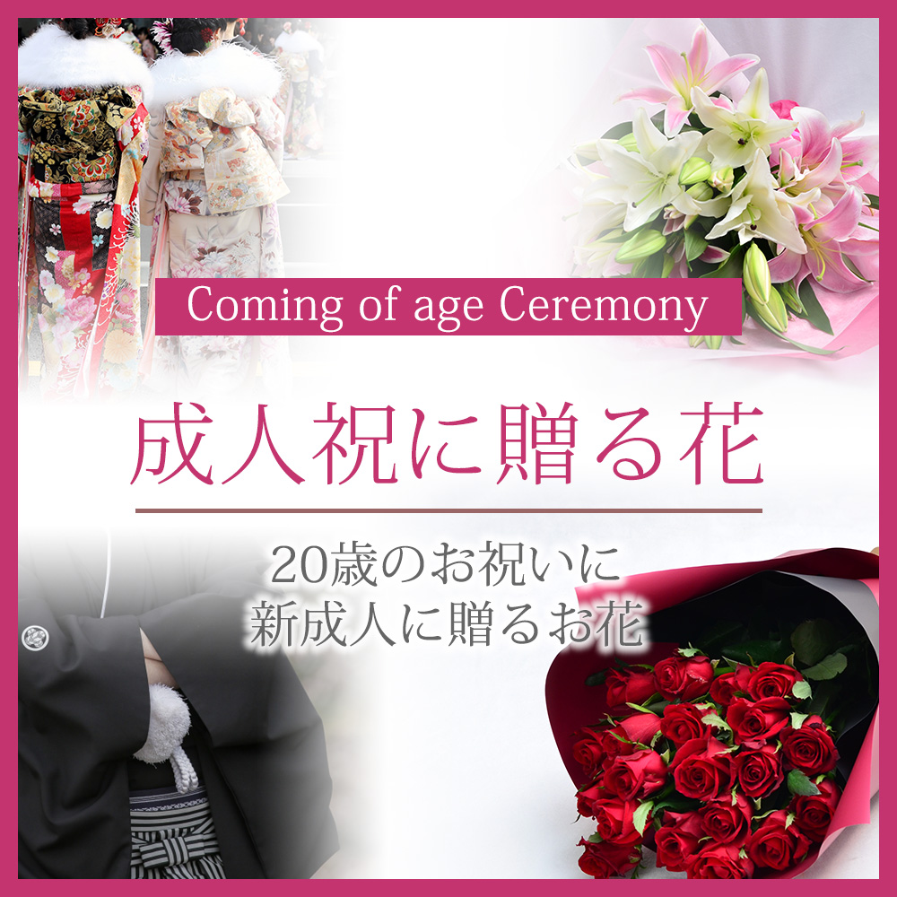 ���l�����i�Љ�J�e�S���[�g�b�v�摜