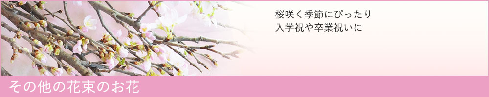 ���̑��̂���