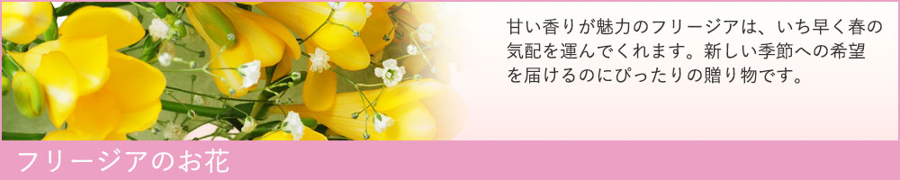 �t���[�W�A�̂���