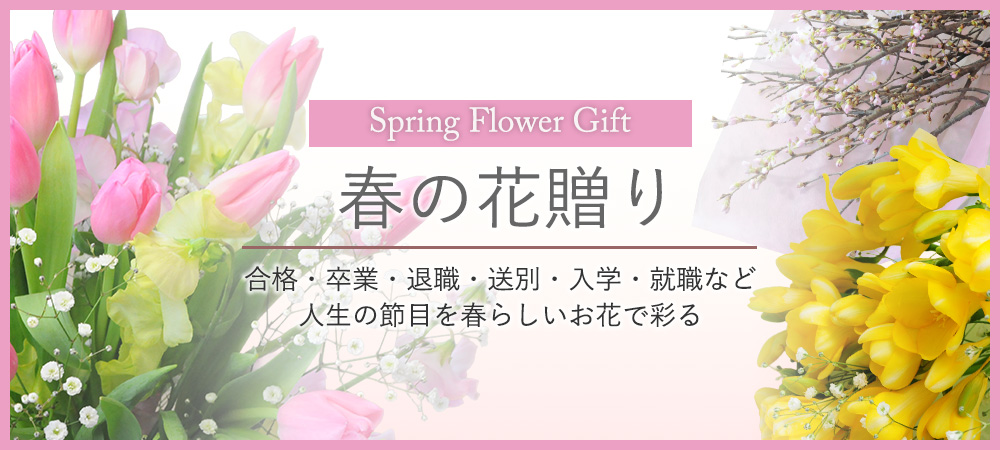 �t�̉ԑ���