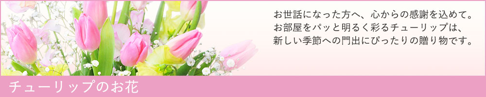 �`���[���b�v�̂���