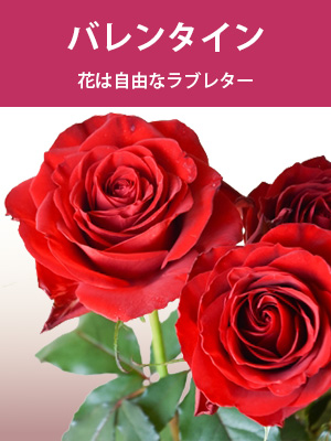 �o�����^�C��