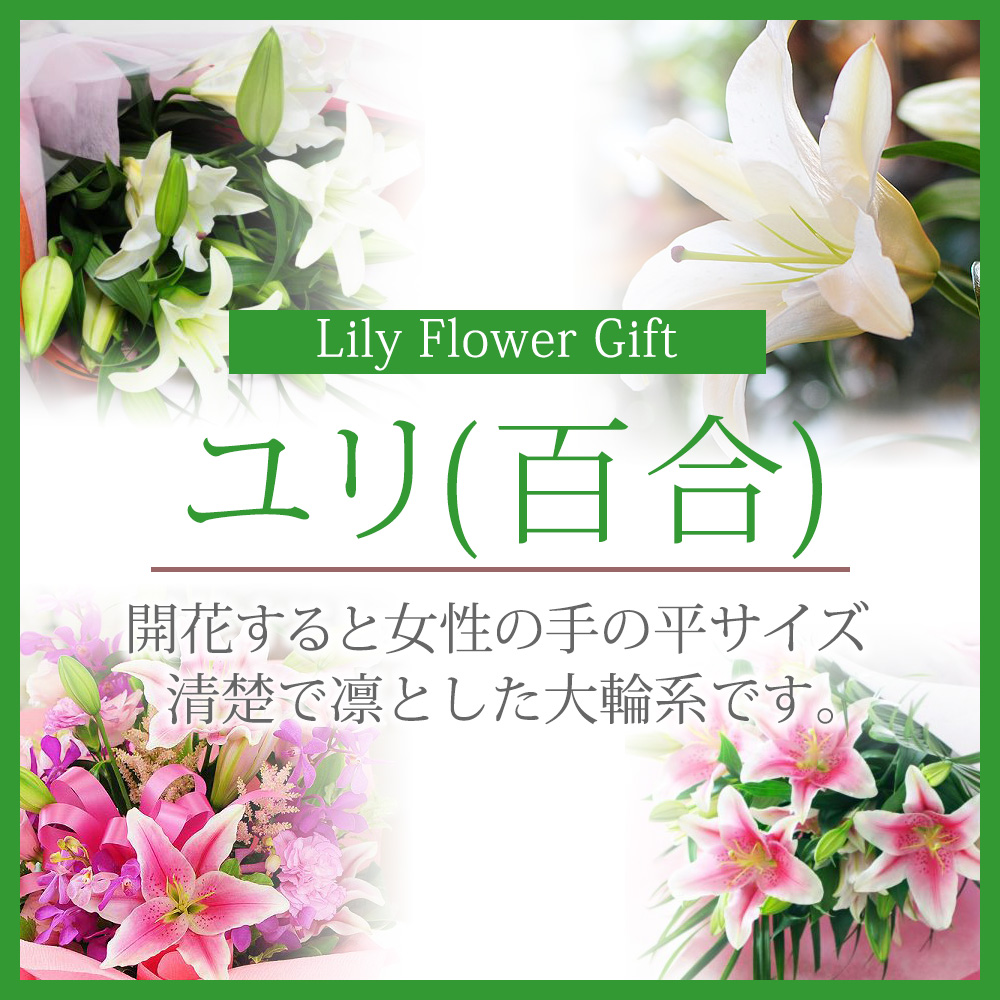 ユリ(百合)の花(白いユリ・ピンクユリ・カサブランカ