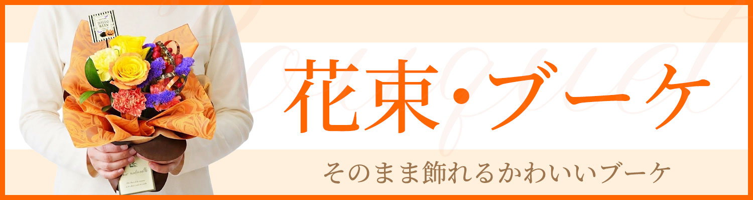 �u�[�P