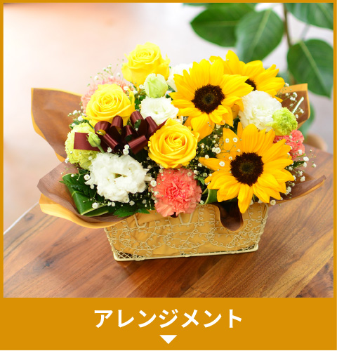 �A�����W�����g