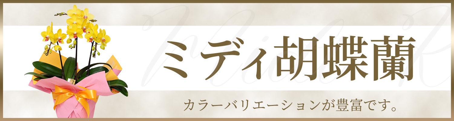 �~�f�B�Ӓ���