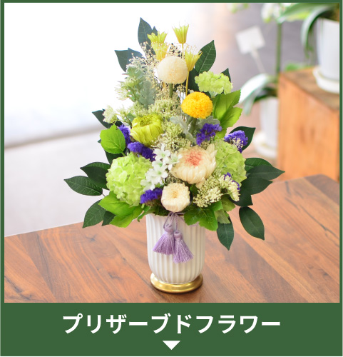 �v���U�[�u�h�t�����[