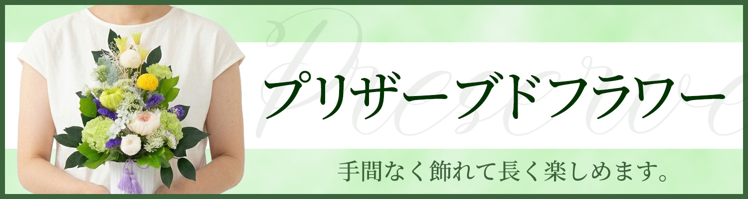 �v���U�[�u�h�t�����[