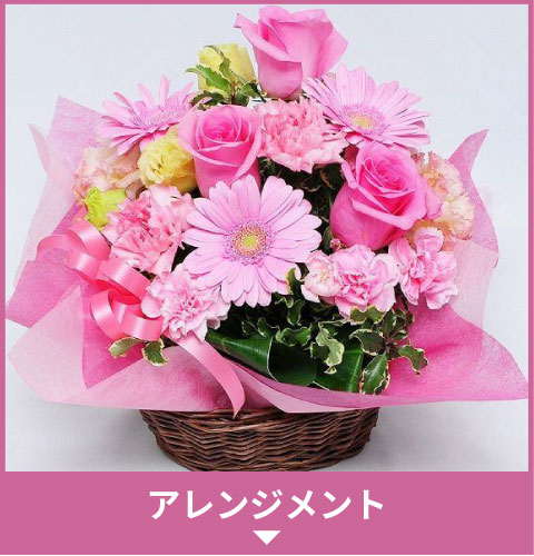 �A�����W�����g