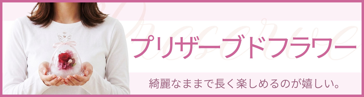 �v���U�[�u�h�t�����[