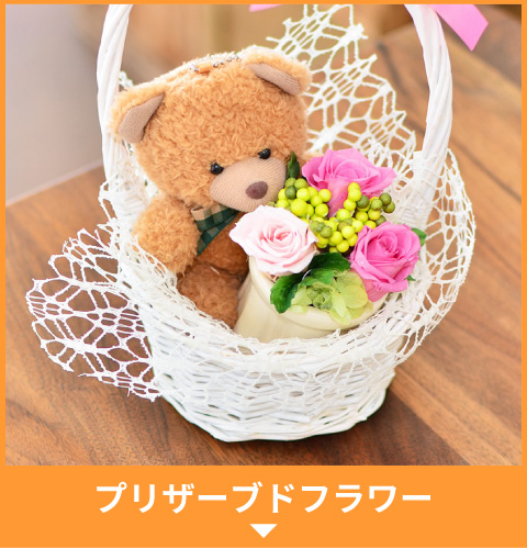 �v���U�[�u�h�t�����[