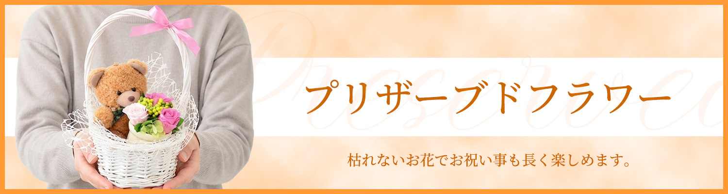 �v���U�[�u�h�t�����[
